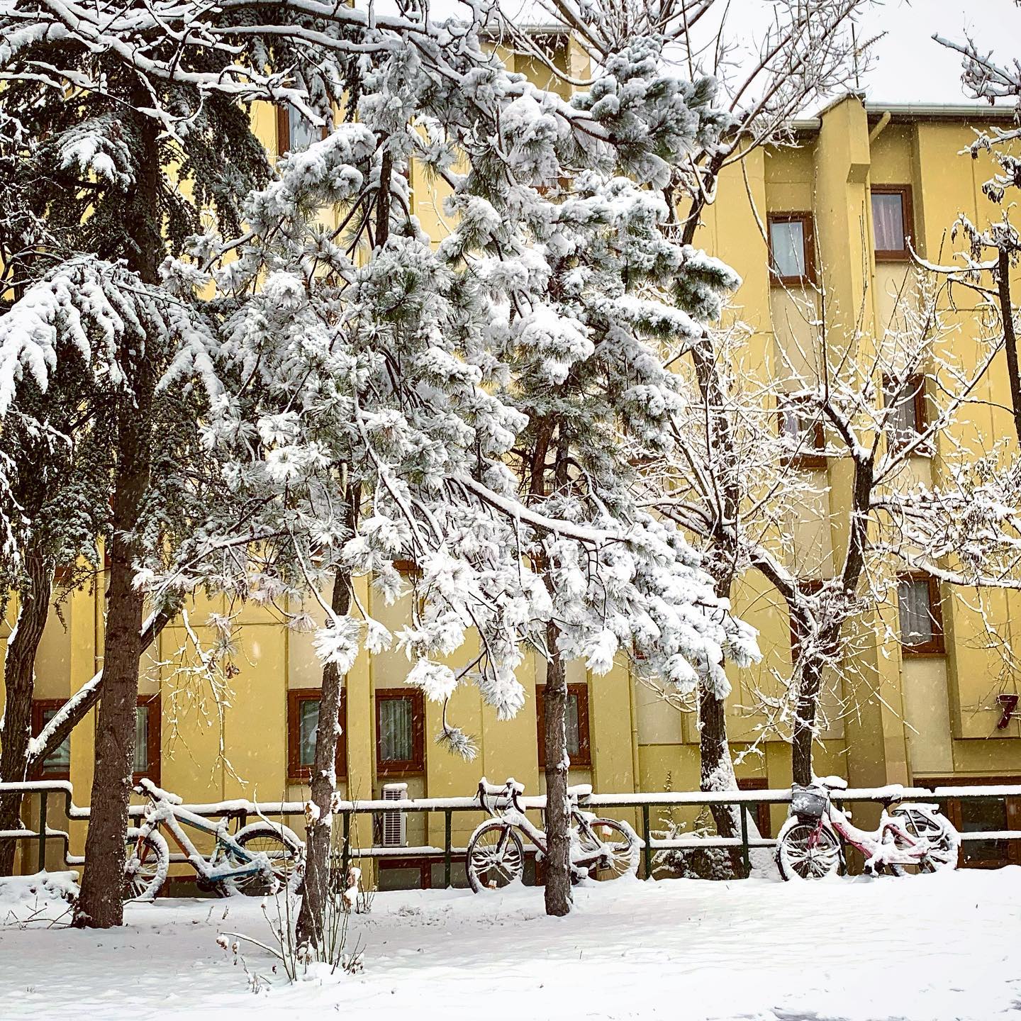 Şubat ayına karlı bir başlangıç 🥶

#bilkent #bilkentüniversitesi #bilkentuniversity